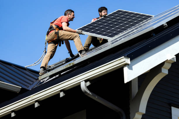 Best Solar Panel Roofing Installation  in Ludowici, GA