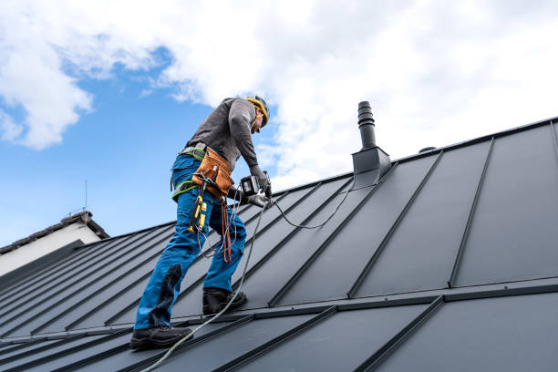 Best Chimney Flashing Repair  in Ludowici, GA